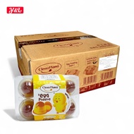 ยกลัง 12 แพ็ค CLEVER 230 กรัม PUDDING-EGG อร่อยสดชื่น ทานอร่อย