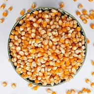 🌸READY STOCK🌸 POPCORN SEED / BIJI JAGUNG 200g (EY100)