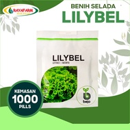 SUPER UNGGUL Benih Bibit selada Batavia Lilybel 1000 pill - Bejo