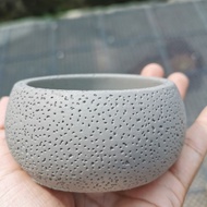 Succulent pot 7cm Ready Stock