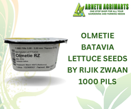 OLMETIE / LIMAMBO BATAVIA LETTUCE SEEDS BY RIJIK ZWAAN ( 1000 PILLS )