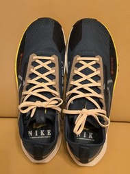 Nike Pegasus Trail 4 GTX (US10.5)