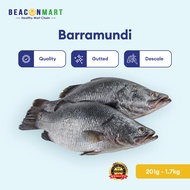 [Beacon Mart] Fresh Frozen Barramundi Whole Fish | Sabah Wild Caught | Gutted | Ikan Siakap Laut Seg