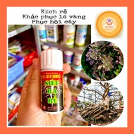 Super Rooting AE.NITO HUMIC-1 – Root Growth Support – For Plants 20ml bottle
