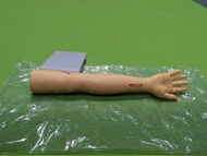 PVC Bix-Lf1 Material Advanced Surgical Suture Training Arm Model With Skin