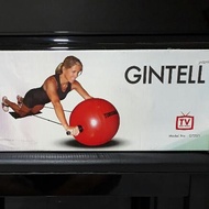 Gintell Torsoball for Total Body Training System