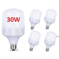 30W led pillar light bulb