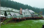 高鐵自由行-阿里山福森號 森品茗 奮起湖-北門｜一日遊
