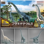 Bandai 4573102674272 PLANNOSAURUS Brachiosaurus