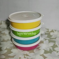 Medium Handy Bowl (4) Lunch Box