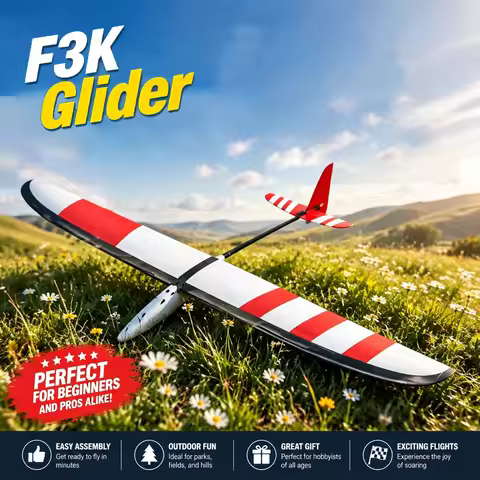 Glider F3k Hand Throwing Model Aircraft Fixed Wing Remote Controlled Electric Practice Aircraft Dlg 