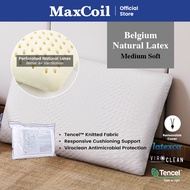 MaxCoil Livy Natural Latex Pillow / 100% Natural Latex / Hypoallergenic / Tencel Cover