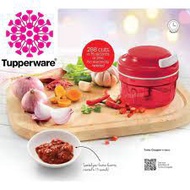 Tupperware Brands:Turbo Chopper 300ml. Powerful Little Kitchen Helper A time saver that makes cooking effortless &amp; easy