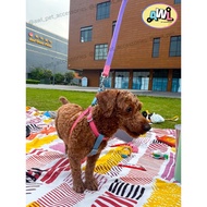 AWL Pet Cat Adjustable Pet Dog Harness Safety for Outdoor Adventures