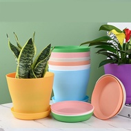 MISUPS Plant Resin Plastic Balcony Garden Multicolor for Succulent Flowerpots with Tray Nursery Basin Pots Tray Flower Pots and Planters