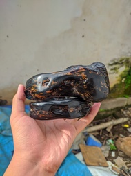 Gelang Akar Bahar Babon Super Jumbo