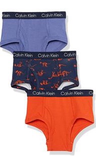 現貨Calvin Klein Boys' Briefs Underwear CK男童內褲