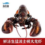 渔传播【活鲜】加拿大波士顿龙虾波龙鲜活大龙虾450-500g 1只海鲜水产虾类生鲜