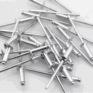 100gr RIVE DRAWING NAILS 3mm,4mm,5mm