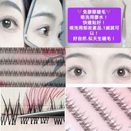 現貨💜10對 免膠眼睫毛 免膠睫毛 免膠假眼睫毛 免膠假睫毛 自然睫毛 自然假睫毛  免膠自然睫毛 8mm免膠眼睫毛 😃