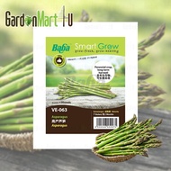  Baba VE-063 Smart Grow F1 Asparagus Seed Biji Benih 高产芦笋