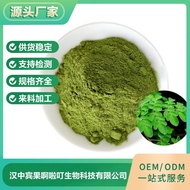 Big Raw Powder Powder Moringa Leaf Extract Supply Manufacturer Dehydration Wholesale Moringa Leaf Mo