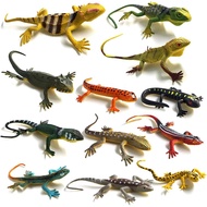 BAINFE 12Pcs Mainan Cicak Plastik Palsu Berwarna-warni, Cicak Getah, Figura Aksi Reptilia, Mainan Ci