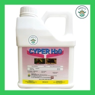CYPER H20 4LITER /Racun serangga/Cypermethrin 20%
