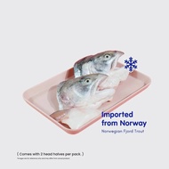 Frozen salmó head | Fjord trout | frozen fjord trout head