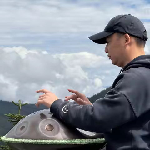 Master Handpan Drum Instrument 12+4 Handpan Drum Handpan