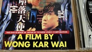 王家衛《墮落天使》DVD