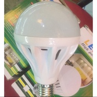 12w Led bulb