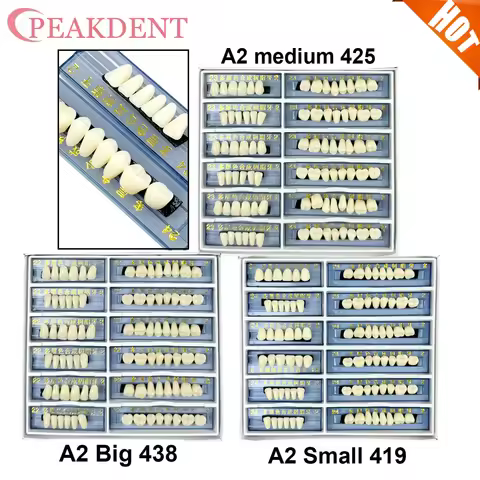 168Pcs/box Synthetic Resin Teeth Denture Upper Lower A2 Artificial S/M/L Anterior Posterior Dental T