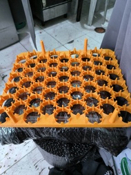 54 capacity egg tray