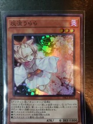 遊戲王 PAC1-JP016 灰流麗