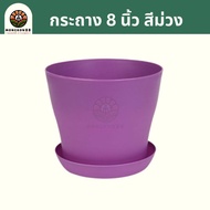 กระถางต้นไม้ สีม่วง ขนาด 4นิ้ว 5.5นิ้ว 6นิ้ว 8นิ้ว พร้อมจานรอง กระถางพลาสติก กระถางแคตตัส กระถาง กระ