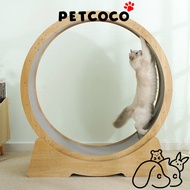 PetCoCo 🐾 Cat Treadmill Running Wheel Wooden Interactive Anti-depression Pet Tread Exercise Fun | 猫咪