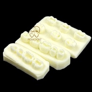 1 set Dentistry Implant Practice Model Dental Filling Model Implant Teeth Model For Training Teachin