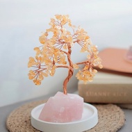 新年禮物禮盒 黃水晶水晶樹 原礦底座 招財樹 聚財樹 開業創業禮