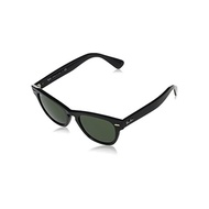 [RayBan] Sunglasses RB2201 Men's 901/31 Black / Green Lens 54