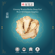 YCH Herba Dang Gui/Root Of Chinese Angelica (1kg) (2 years shelf life)