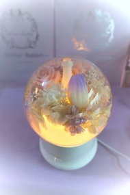 紫白鬱金香+粉紅玫瑰保鮮花 永生花香薰加濕機 有燈 夜燈 玻璃罩擺設 情人節 生日 聖誕節 紀念日禮物