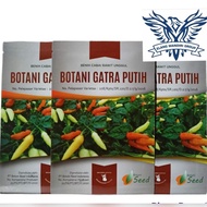 Benih Bibit Cabe cabai Gatra Putih 1 Gr 216 Butir Botani seed