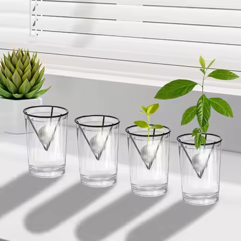 4Pcs Avocado Seed Starter Rack Avocado Growing Triangular Holder Avocado Tree Growing Bracket Avocad