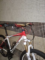 Java Mountain Bike