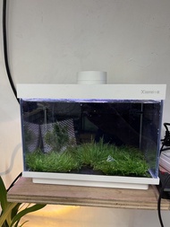 Xiaomi 小美迷你魚缸