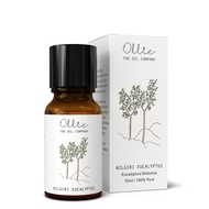 Ollie Nilgiri Eucalyptus Essential Oil