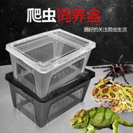 Reptile Box Square Box Reptile S 19x12.5x7.5cm Feeding Box Reptile Box Cage Packman Nomoy H3 - S3