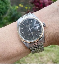 1601 Datejust Gilt Rolex 鋼皇 叻架面