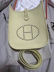 hermes evelyne mini